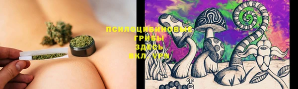 молекула духа Медногорск