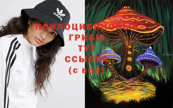спиды Мегион