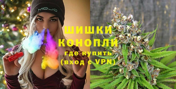 молекула духа Медногорск