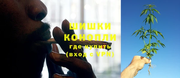 молекула духа Медногорск