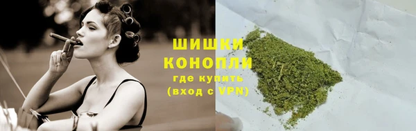 молекула духа Медногорск