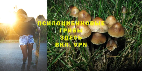 спиды Мегион
