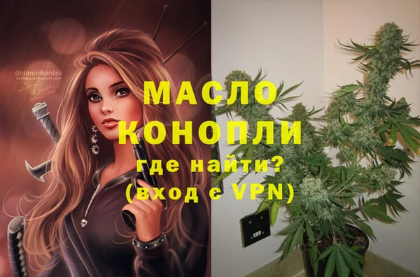 молекула духа Медногорск