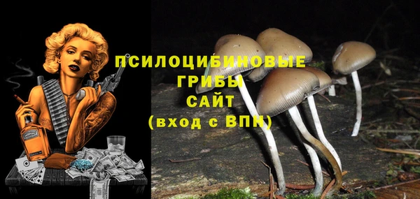 каннабис Медвежьегорск