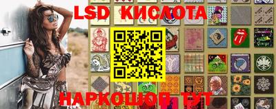 дживик Гай