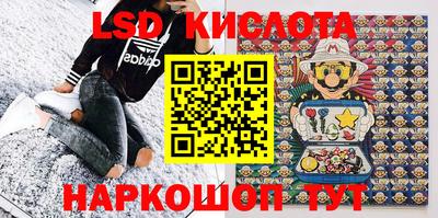 дживик Гай