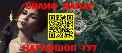 сатива Гагарин