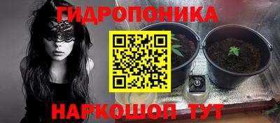 дживик Гай