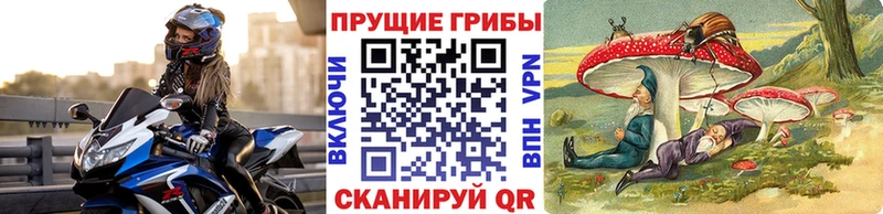 hydra зеркало  Калининград  Галлюциногенные грибы MAGIC MUSHROOMS 