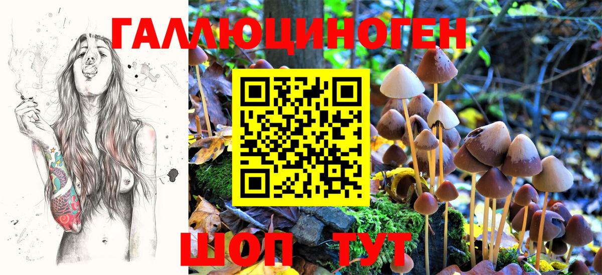 Псилоцибиновые грибы GOLDEN TEACHER  Вход с VPN  Калининград 