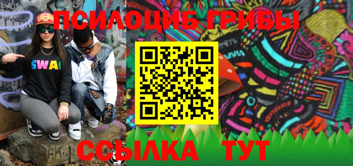 Псилоцибиновые грибы Cubensis Калининград