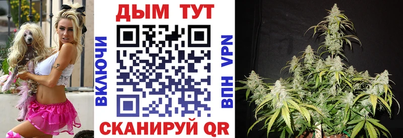 блэк спрут ТОР  Калининград  Конопля планчик 